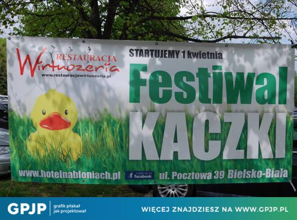 Festiwal kaczki